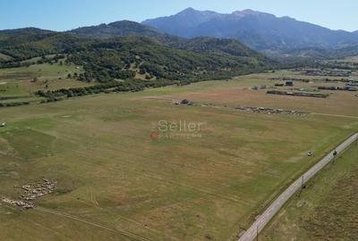 Teren de 14500 mp, în Sud - 6