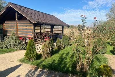 PROPRIETAR, Vand casa + 1800 mp teren + afacere la cheie - 5