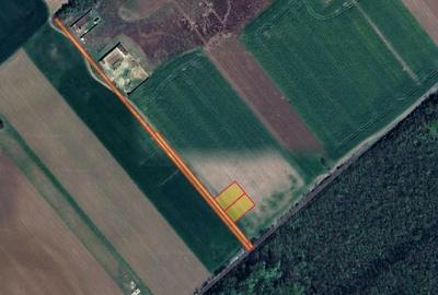 Teren intravilan 1750 m? - CLINCENI - ILFOV - 1