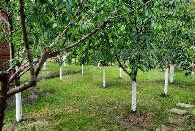 Casă cu 2 camere cu Teren 700 Mp în Central - 2