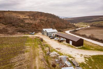 Teren agricol extravilan de 115 mp, în Dud - 8