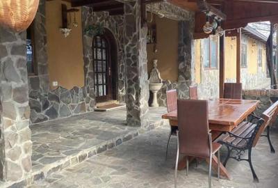 Casă cu 4 camere cu Teren 1400 Mp în Costache Negri - 10