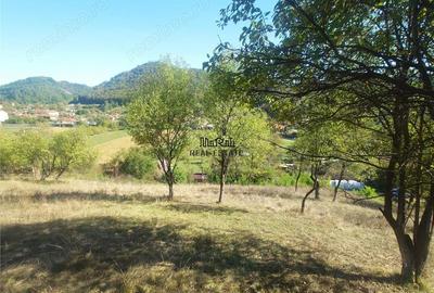 Teren de 1274 mp, în Criș - 1