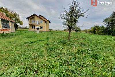 Casa cu 5 camere, 236 mp, teren 5805 mp, gaz, Brestea - Denta - 41