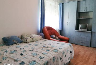 Apartament cu 2 camere în Burdea - 7