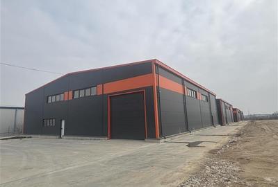 OCAZIE...BLACK FRIDAY...Inchiriere depozit/hala/spatiu industrial Pantelimon - C - 10
