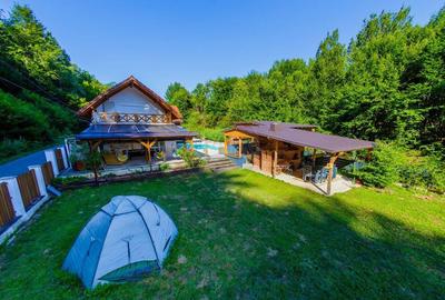 Casa de vis in Loc. Intrerauri - 3