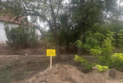 TEREN 2172 MP in CENAD, jud. Timis - 1