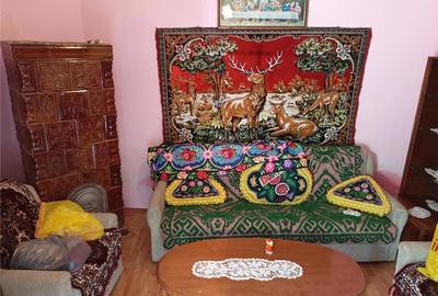 Ciclova, Casa 10 Incaperi, pt 2 Familii, 1439mp Teren - 20