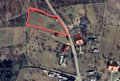 Teren de 1400 mp, în Tomești - 9