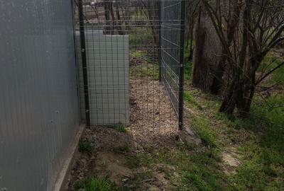 Teren de 1800 mp, în Parța - 2