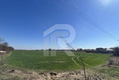 Gruiu_Lipia_Teren Intravilan langa padure - 4