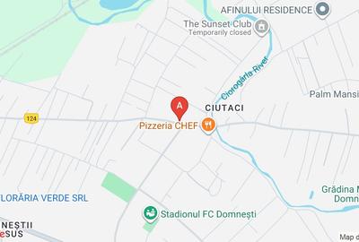 Teren Construcții intravilan de 3006 mp, în Domnești