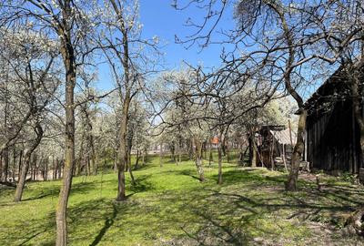 Spațiu comercial, în Poplaca - 1