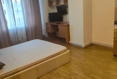 Apartament cu 2 camere decomandat, mobilat în Tineretului - 4