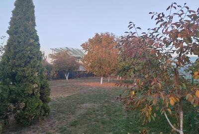 Casa Renovata Afumati I Teren 1100mp I Toate Utilitatile - 12