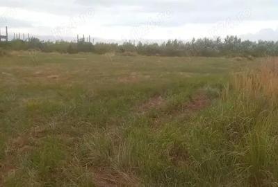 Vnd Teren Intravilan 5200 m pret 50 e Bradu strada cetului vizavi Pitesti Arges - 3