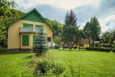 Casă cu 5 camere în Central
