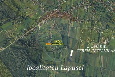 Teren Construcții intravilan de 2240 mp, în Lăpușel - 4