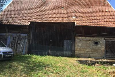 Casă cu Teren 6500 Mp în Dretea - 1