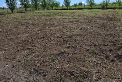 Tren in zona Copou  ,  Numarul de tel. nu este corect scrieti mesaj. - 7