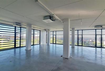 Birouri sau servicii, cladire noua, parcare privata, Mosnita Noua - 1