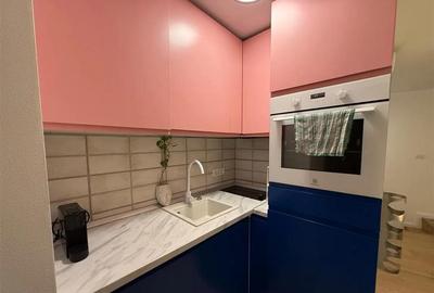 Studio in vila, Tepes Voda, Pet Friendly, 14 min Metrou - 5