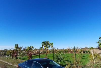 Corbeanca | Teren 800mp | Utilitati la 50m | Deschidere 32mp - 3