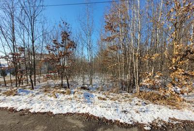 Teren intravilan, situat in Scoarta, sat Pistestii din Deal - 2