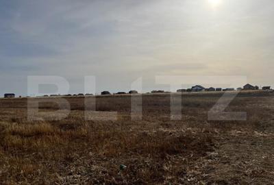 Teren 5000 mp intravilan in Ghercesti - 1