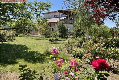 Casă cu 4 camere cu Teren 10000 Mp în Nufăru - 4