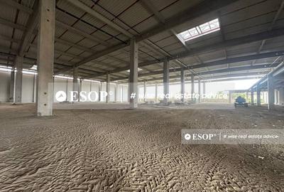 Spațiu industrial, de 4,000 mp, în Nord - 3