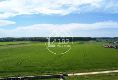 Teren Construcții intravilan de 25000 mp, în Dascălu - 12