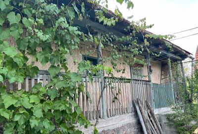 Casa la ?ara, zona pitoreasca, Patar? - 5