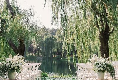 Teren Construcții intravilan de 2770 mp, în Corbeanca - 4