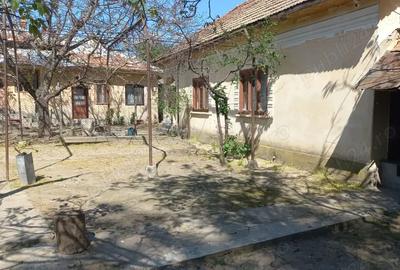 Vand casa+anexe+ garaj , ianca olt - 6