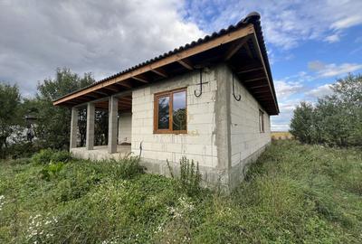 Casă cu 3 camere cu Teren 3800 Mp în Peleș - 2