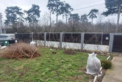 Casă individuală cu 2 camere cu Teren 890 Mp în Brănești - 8