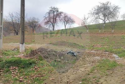 Casa cu 35 ari teren in Adancata sau schimb cu ap in Burd... - 4