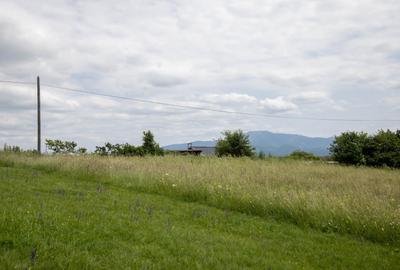 Teren cu potențial turistic în Vulcan BV– vedere panoramică - 11