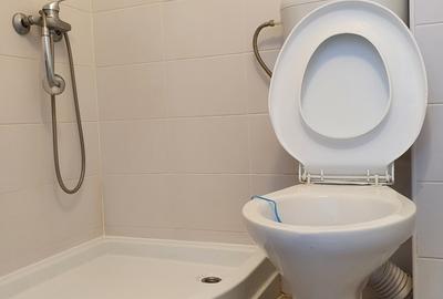 Piata Trapezului, Aleea Mizil, 8 minute metrou Piata Trapezului, Aleea Mizil, 8 minute metrou - 6