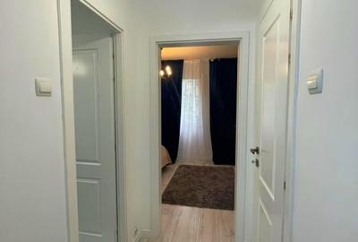 Apartament cu 2 camere semidecomandat, mobilat în Podu Roș - 9