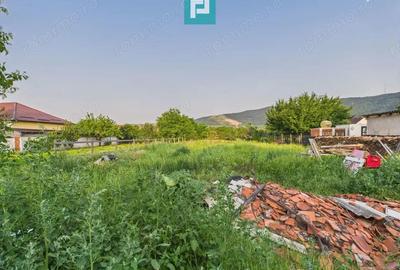 Casa cu 3 camere in Gal?a, Arad, teren 1197 mp - 16