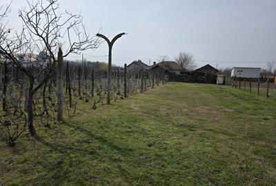 Casă cu 3 camere în Soreni - 7