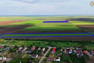 Teren de 68900 mp, în Secusigiu - 5
