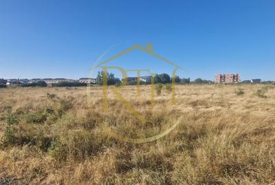 Teren Construcții intravilan de 7530 mp, în Plopi - 2