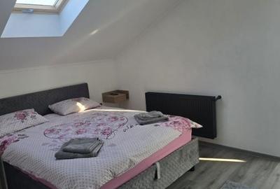 Casă cu 4 camere în Bușag - 2