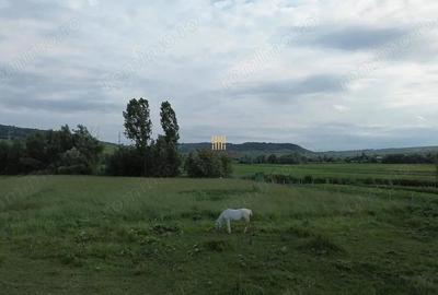 Teren 3953 mp Falticeni Tarna Mare De Vanzare 0727817187 - 10