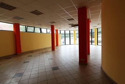 Spațiu comercial, de 208 mp, în Bogdăneștilor - 11