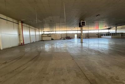 Hala 1400 pentru depozitare sau productie Hala 1400 pentru depozitare sau productie - 20